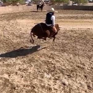 Meet your Posher, Bryan